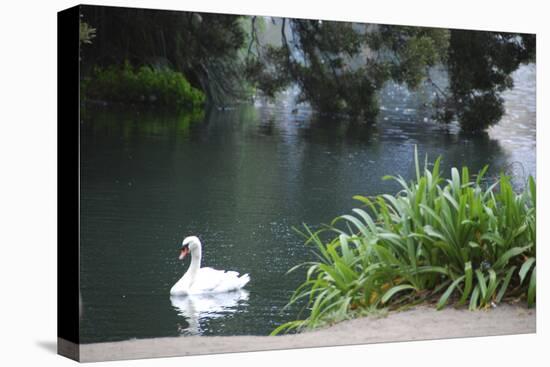 Palace of Fine Arts, Marina District, San Francisco, California-Anna Miller-Stretched Canvas