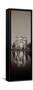 Palace Of Fine Arts Pano #1-Alan Blaustein-Framed Stretched Canvas