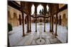 Palace of the Lions (Palacio De Los Leones), the Alhambra, Granada, Andalucia, Spain-Carlo Morucchio-Mounted Photographic Print