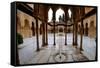 Palace of the Lions (Palacio De Los Leones), the Alhambra, Granada, Andalucia, Spain-Carlo Morucchio-Framed Stretched Canvas