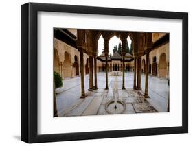 Palace of the Lions (Palacio De Los Leones), the Alhambra, Granada, Andalucia, Spain-Carlo Morucchio-Framed Photographic Print