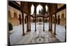 Palace of the Lions (Palacio De Los Leones), the Alhambra, Granada, Andalucia, Spain-Carlo Morucchio-Mounted Photographic Print