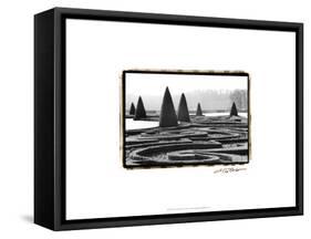 Palace of Versailles Garden I-Laura Denardo-Framed Stretched Canvas