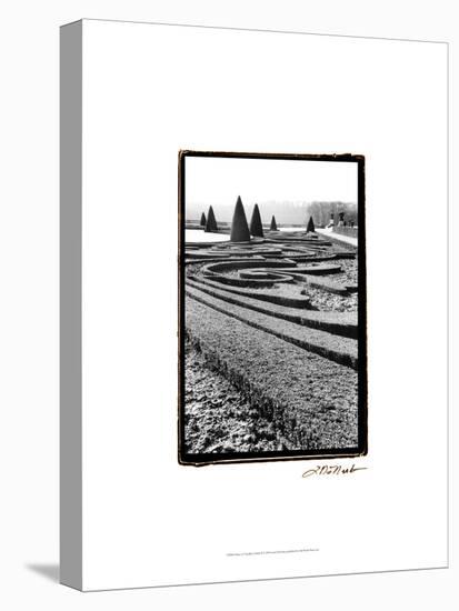 Palace of Versailles Garden II-Laura Denardo-Stretched Canvas