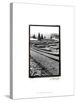 Palace of Versailles Garden II-Laura Denardo-Stretched Canvas