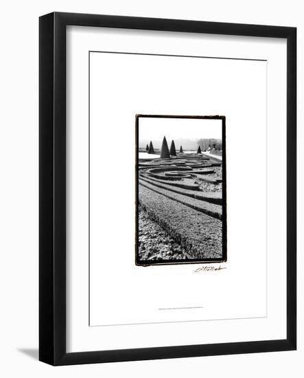 Palace of Versailles Garden II-Laura Denardo-Framed Art Print