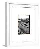 Palace of Versailles Garden II-Laura Denardo-Framed Art Print