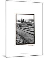 Palace of Versailles Garden II-Laura Denardo-Mounted Art Print