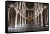 Palace Of Versailles-Lindsay Daniels-Framed Stretched Canvas