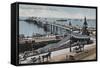 Palace Pier and Aquarium, Brighton-null-Framed Stretched Canvas