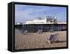 Palace Pier, Brighton, East Sussex, England, United Kingdom-Walter Rawlings-Framed Stretched Canvas