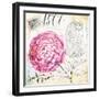 Palace Wild Rose-Angela Staehling-Framed Art Print