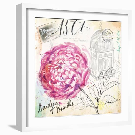 Palace Wild Rose-Angela Staehling-Framed Art Print