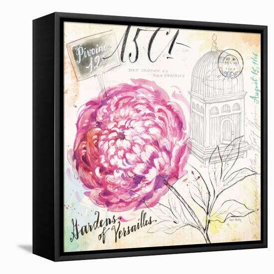 Palace Wild Rose-Angela Staehling-Framed Stretched Canvas