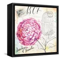 Palace Wild Rose-Angela Staehling-Framed Stretched Canvas