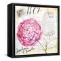 Palace Wild Rose-Angela Staehling-Framed Stretched Canvas