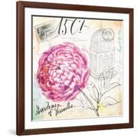 Palace Wild Rose-Angela Staehling-Framed Art Print