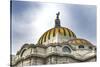 Palacio de Bellas Artes, Mexico City, Mexico. Mexican Eagle on top.-William Perry-Stretched Canvas