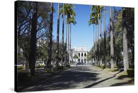 Palacio do Governo (Palace of the Government), Praca da Liberdade, Belo Horizonte, Brazil-Ian Trower-Stretched Canvas