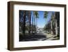 Palacio do Governo (Palace of the Government), Praca da Liberdade, Belo Horizonte, Brazil-Ian Trower-Framed Photographic Print