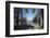 Palacio do Governo (Palace of the Government), Praca da Liberdade, Belo Horizonte, Brazil-Ian Trower-Framed Photographic Print