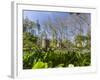 Palacio Nacional da Pena in Sintra near Lisbon, part of UNESCO. The gardens of Pena. Portugal-Martin Zwick-Framed Photographic Print