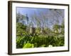 Palacio Nacional da Pena in Sintra near Lisbon, part of UNESCO. The gardens of Pena. Portugal-Martin Zwick-Framed Photographic Print