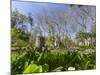 Palacio Nacional da Pena in Sintra near Lisbon, part of UNESCO. The gardens of Pena. Portugal-Martin Zwick-Mounted Photographic Print