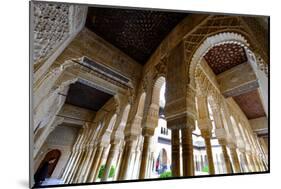 Palacios Nazaries, the Alhambra, Granada, Andalucia, Spain-Carlo Morucchio-Mounted Photographic Print