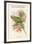 Palaeornis Caniceps - Grey-Headed Parakeet-John Gould-Framed Art Print