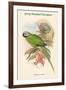 Palaeornis Caniceps - Grey-Headed Parakeet-John Gould-Framed Art Print