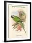 Palaeornis Caniceps - Grey-Headed Parakeet-John Gould-Framed Art Print