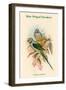 Palaeornis Columboides - Blue-Winged Parakeet-John Gould-Framed Art Print