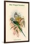 Palaeornis Columboides - Blue-Winged Parakeet-John Gould-Framed Art Print