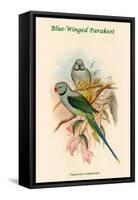 Palaeornis Columboides - Blue-Winged Parakeet-John Gould-Framed Stretched Canvas