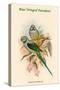 Palaeornis Columboides - Blue-Winged Parakeet-John Gould-Stretched Canvas