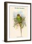 Palaeornis Nicobaricus - Nicobar Parakeet-John Gould-Framed Art Print