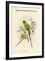 Palaeornis Rosa - Blossom-Headed Parakeet-John Gould-Framed Art Print