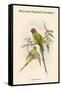 Palaeornis Rosa - Blossom-Headed Parakeet-John Gould-Framed Stretched Canvas