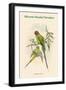 Palaeornis Rosa - Blossom-Headed Parakeet-John Gould-Framed Art Print