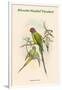 Palaeornis Rosa - Blossom-Headed Parakeet-John Gould-Framed Art Print