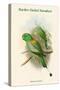 Palaeornis Setarius - Racket-Tailed Parakeet-John Gould-Stretched Canvas