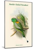Palaeornis Setarius - Racket-Tailed Parakeet-John Gould-Mounted Art Print