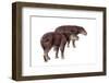 Palaeosyops-null-Framed Photographic Print