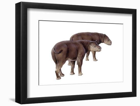 Palaeosyops-null-Framed Photographic Print