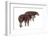 Palaeosyops-null-Framed Photographic Print