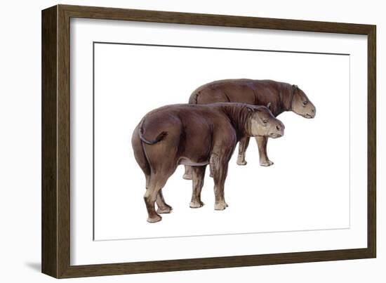 Palaeosyops-null-Framed Photographic Print