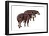 Palaeosyops-null-Framed Photographic Print