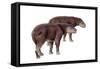 Palaeosyops-null-Framed Stretched Canvas