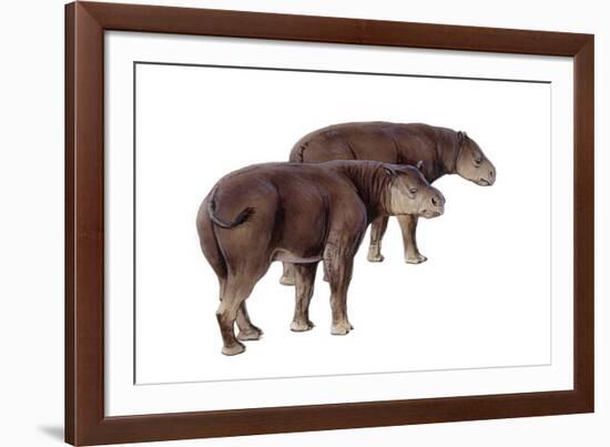 Palaeosyops-null-Framed Photographic Print